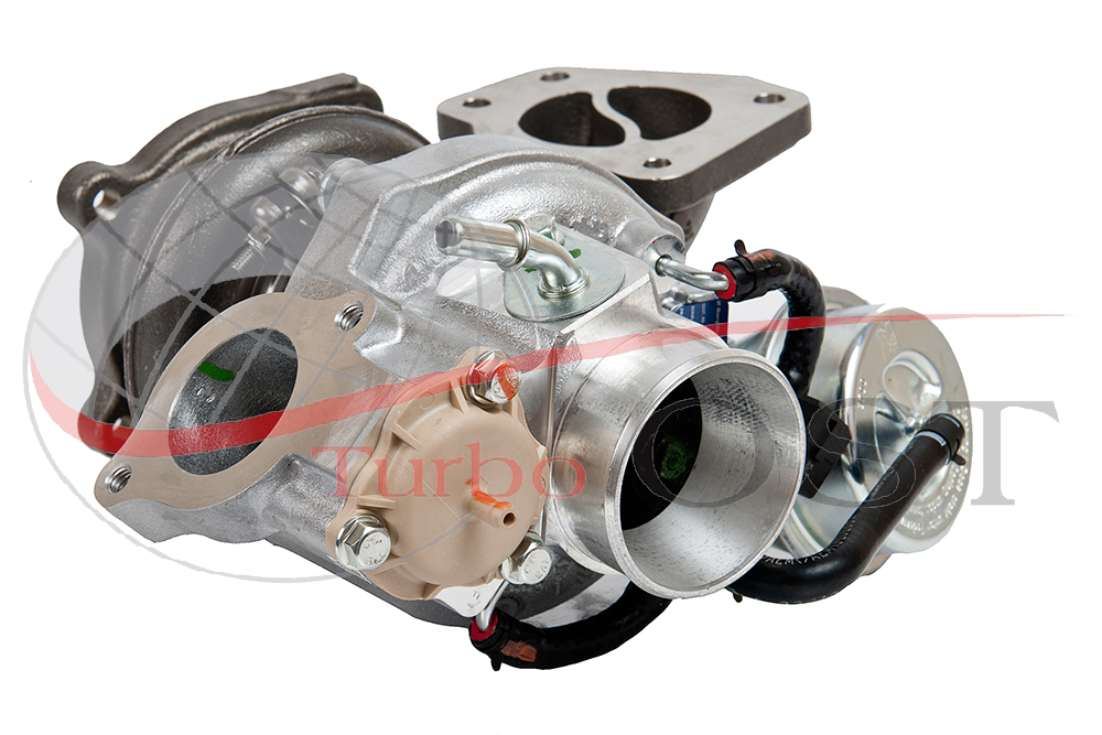 53049880059